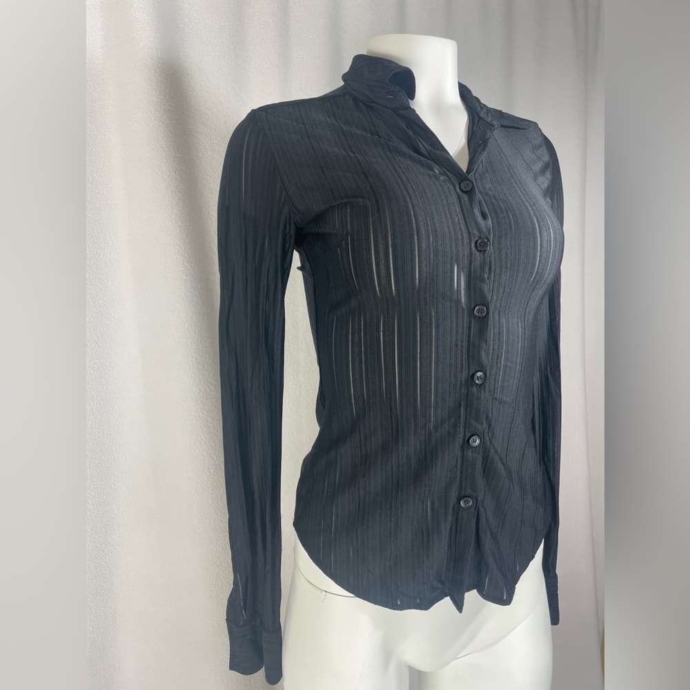 Vintage Express Black Sheer Striped Blouse